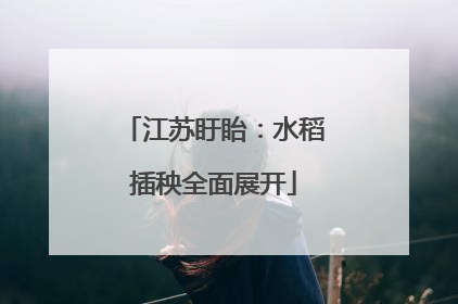 江苏盱眙：水稻插秧全面展开